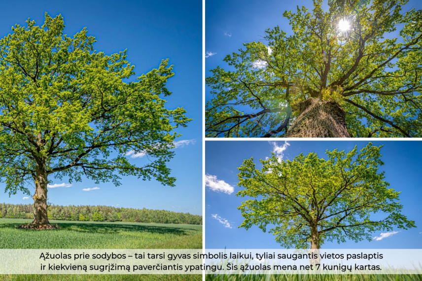 Parduodamas namas Voverių k., Šakių r. sav., 115.22 m² ploto 2 kambariai 26