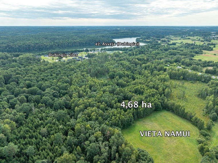 Parduodamas  sklypas Gramiškių k., Molėtų r. sav., 468 a ploto 3