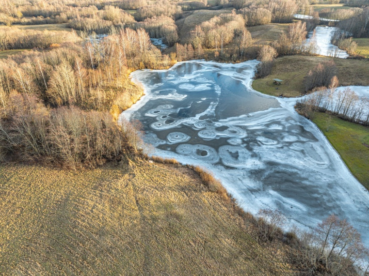 Parduodamas  sklypas Radeikių k., Utenos r. sav., 566 a ploto 3