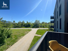 Nuomojamas butas Aukštaičių g., Užupis, Vilniaus m., Vilniaus m. sav., 35 m2 ploto, 2 kambariai 29
