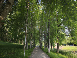 Parduodamas butas Liepų g., Molėtų m., Molėtų r. sav., 35.00 m² ploto 1 kambarys 11