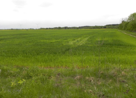 Parduodamas sklypas Pravydžių k., Anykščių r. sav., 500.00 a ploto