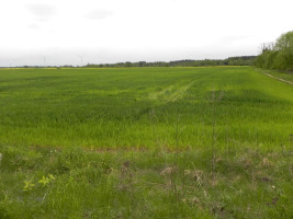 Parduodamas sklypas Pravydžių k., Anykščių r. sav., 500.00 a ploto 1