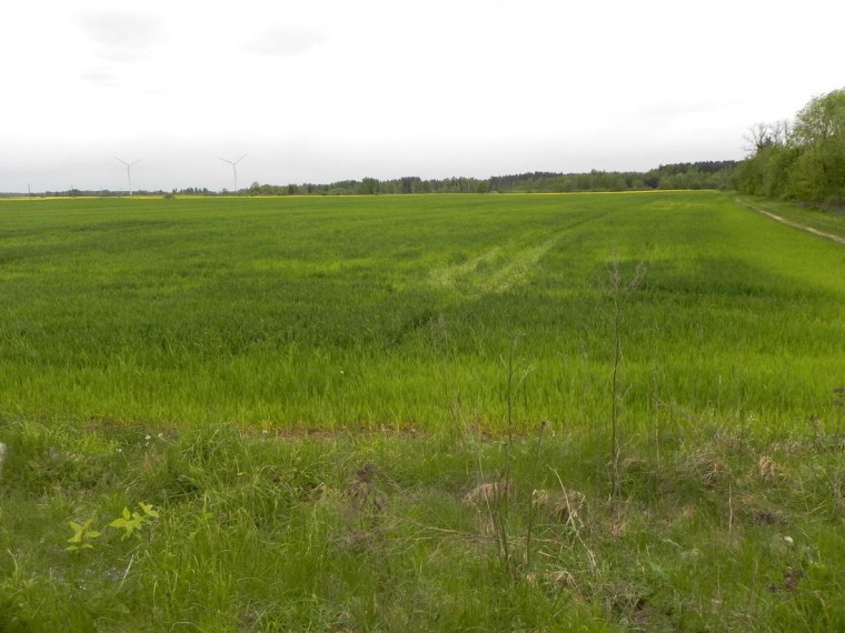 Parduodamas sklypas Pravydžių k., Anykščių r. sav., 500.00 a ploto 1