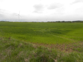 Parduodamas sklypas Pravydžių k., Anykščių r. sav., 500.00 a ploto 2
