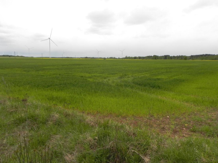 Parduodamas sklypas Pravydžių k., Anykščių r. sav., 500.00 a ploto 2
