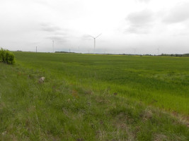 Parduodamas sklypas Pravydžių k., Anykščių r. sav., 500.00 a ploto 3