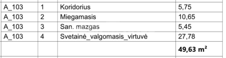 Parduodamas butas K. Vanagėlio g. , Senamiestis, Vilniaus m., Vilniaus m. sav., 49.63 m2 ploto, 2 kambariai 16
