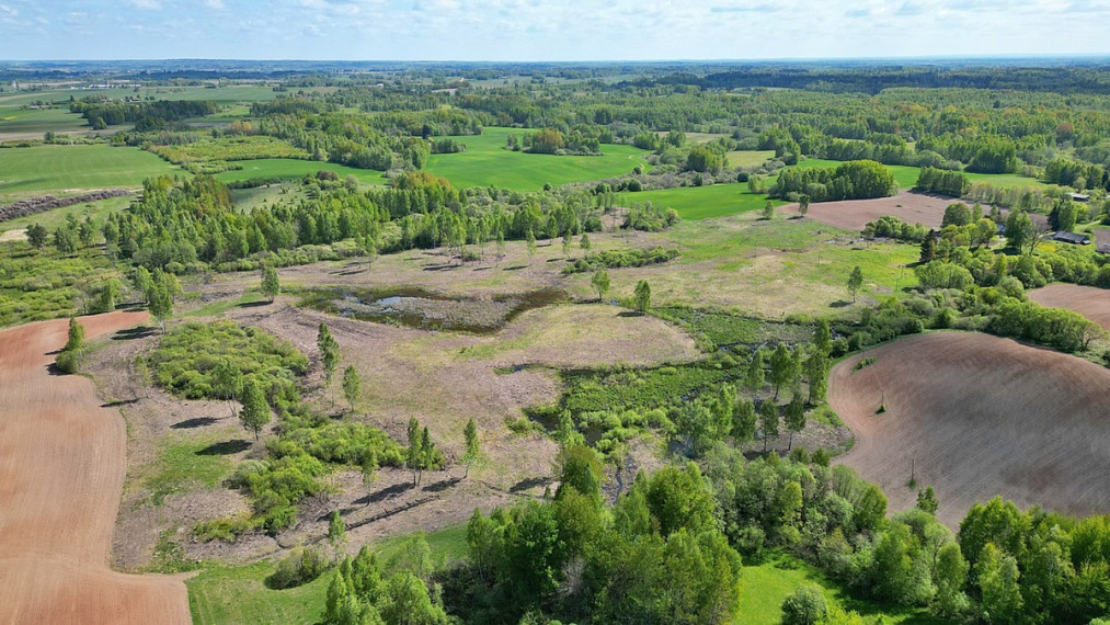 Parduodamas  sklypas Balkūnų k., Širvintų r. sav., 1218 a ploto 3