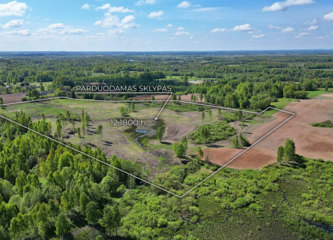 Parduodamas  sklypas Balkūnų k., Širvintų r. sav., 1218 a ploto