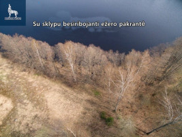 Parduodamas  sklypas Petrauskų k., Trakų r. sav., 1288 a ploto 5