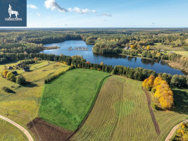 Parduodamas  sklypas Maksiūnų k., Ignalinos r. sav., 175 a ploto 19