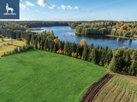 Parduodamas  sklypas Maksiūnų k., Ignalinos r. sav., 175 a ploto 21
