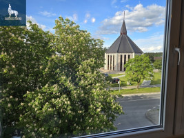 Parduodamas butas Kovo 11-osios g., Grigiškės, Vilniaus m., Vilniaus m. sav., 46.68 m2 ploto, 2 kambariai 4