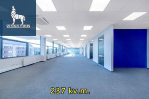 Nuomojamos administracinės patalpos Švitrigailos g., Naujamiestis, Vilniaus m., Vilniaus m. sav., 65 m2 ploto 21