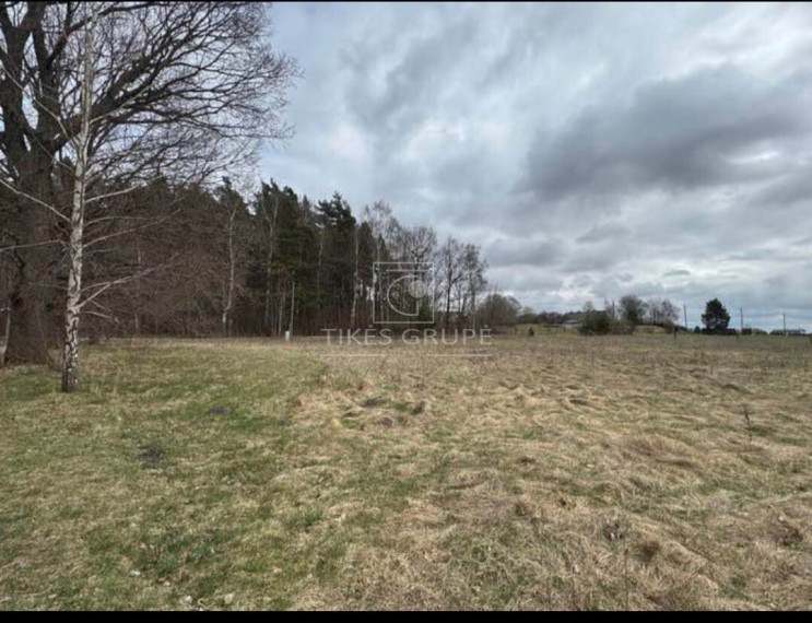 Parduodamas  sklypas Drukių k., Klaipėdos r. sav., 36 a ploto 8