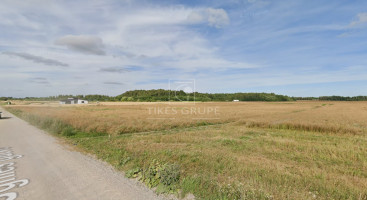 Parduodamas  sklypas Peskojų k., Klaipėdos r. sav., 30 a ploto 4