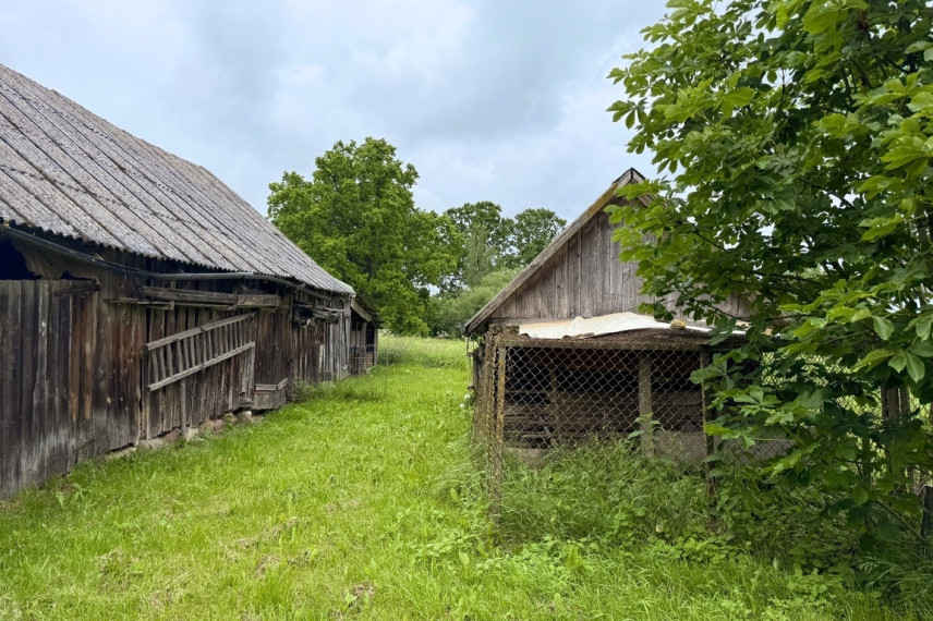 Parduodama 3,16 ha sodyba Trakų r., Ismonių k. 13