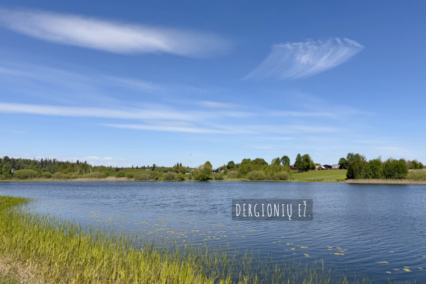 Parduodama 3,16 ha sodyba Trakų r., Ismonių k. 19