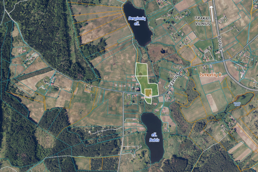 Parduodama 3,16 ha sodyba Trakų r., Ismonių k. 20