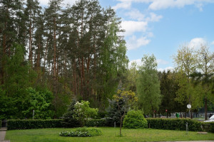 Parduodamas butas Bukčių g., Lazdynėliai, Vilniaus m., Vilniaus m. sav., 117 m2 ploto, 3 kambariai 33