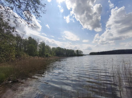 Parduodamas namas Kirneilės k., Molėtų r. sav., 28 m² ploto 1 kambarys 13