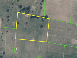 Parduodamas namų valdos paskirties sklypas Trakų g., Padvarionių k., Trakų r. sav., 55 a ploto 1