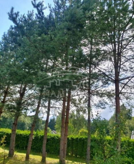 Parduodamas sklypas Šiūparių k., Klaipėdos r. sav., 12 a ploto 5