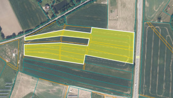 Parduodamas  sklypas Avilių k., Kaišiadorių r. sav., 283 a ploto 8