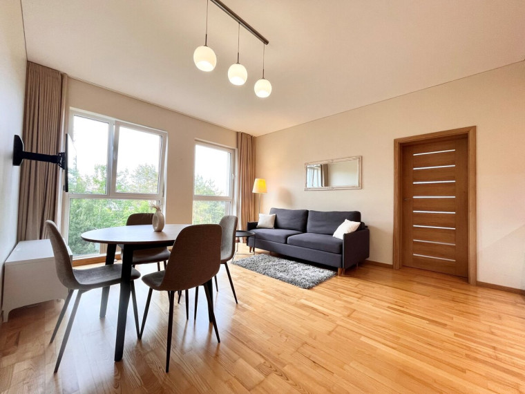 Nuomojamas butas Virbeliškių g., Pašilaičiai, Vilniaus m., Vilniaus m. sav., 46 m2 ploto, 2 kambariai 1