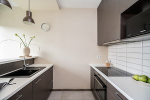 Parduodamas butas Daugėliškio g., Šnipiškės, Vilniaus m., Vilniaus m. sav., 28.79 m2 ploto, 1 kambariai 13