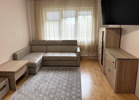 Parduodamas butas Klaipėdos apskritis, Klaipėda, Laukininkai, Laukininkų g., 43 m2 ploto, 1 kambariai