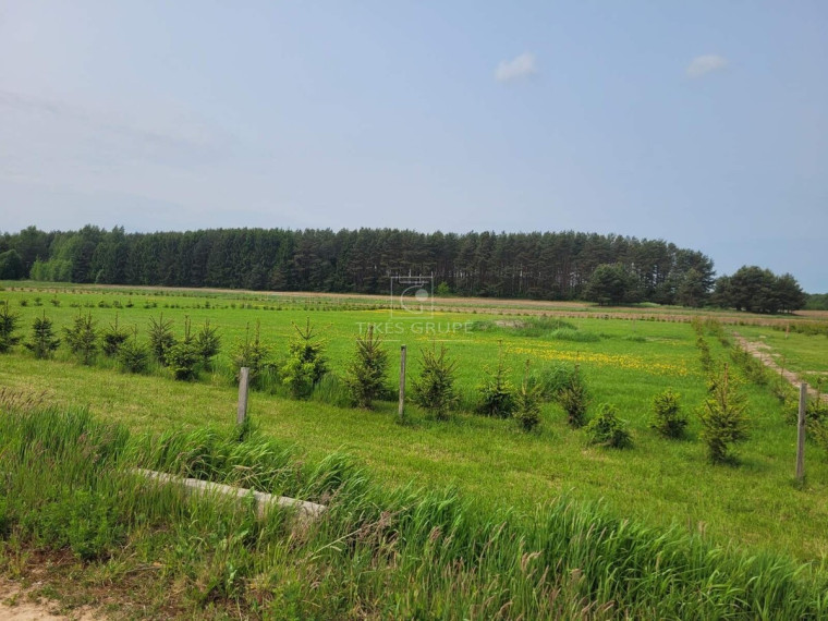 Parduodamas sklypas Rokų k., Klaipėdos r. sav., 10 a ploto 4