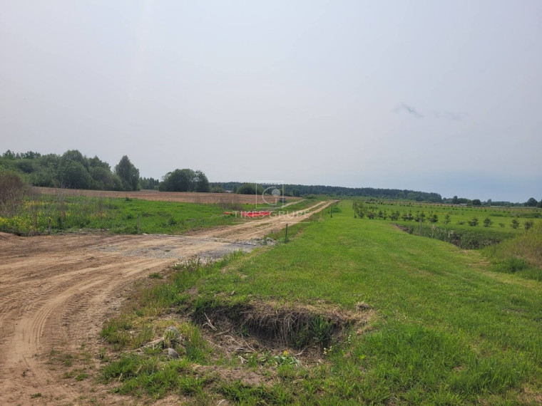 Parduodamas  sklypas Rokų k., Klaipėdos r. sav., 10 a ploto 7