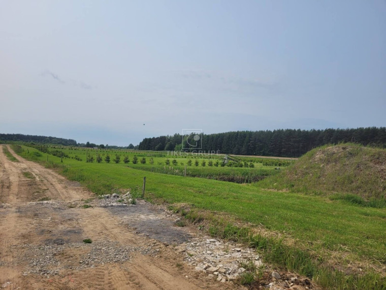 Parduodamas  sklypas Rokų k., Klaipėdos r. sav., 10 a ploto 8