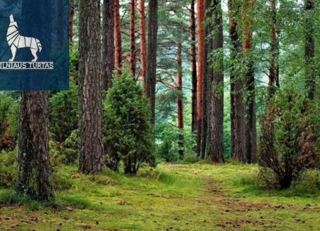 Parduodamas  sklypas Smėlynės k., Anykščių r. sav., 250 a ploto