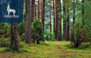 Parduodamas  sklypas Smėlynės k., Anykščių r. sav., 250 a ploto 1