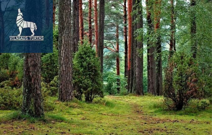 Parduodamas sklypas Smėlynės k., Anykščių r. sav., 250 a ploto 1