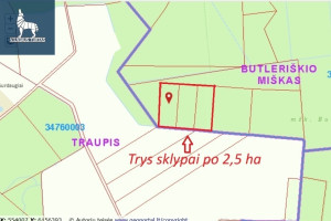 Parduodamas  sklypas Smėlynės k., Anykščių r. sav., 250 a ploto 2