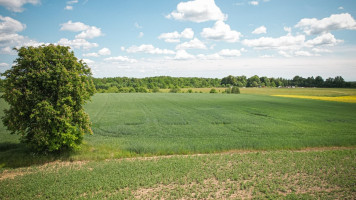 Parduodamas  sklypas Rašnavos k., Kauno r. sav., 167 a ploto 8