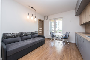 Nuomojamas butas Jurgio Lebedžio g., Baltupiai, Vilniaus m., Vilniaus m. sav., 28.1 m2 ploto, 2 kambariai 5