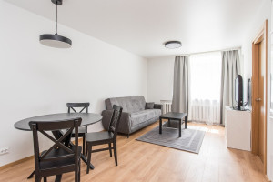 Nuomojamas butas Buivydiškių g., Šeškinė, Vilniaus m., Vilniaus m. sav., 37.28 m2 ploto, 2 kambariai 1