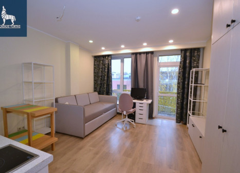 Parduodamas butas Eišiškių pl., Naujininkai, Vilniaus m., Vilniaus m. sav., 24.8 m2 ploto, 1 kambariai