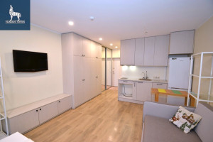 Parduodamas butas Eišiškių pl., Naujininkai, Vilniaus m., Vilniaus m. sav., 24.8 m2 ploto, 1 kambariai 8