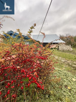 Parduodamas namas Švenčionių r. sav., Matusonių k., 62.28 m2 ploto, 1 aukštai 18