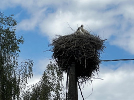 Parduodamas namas Adomo Mickevičiaus g., Buiniškių k., Vilniaus r. sav., 203.05 m² ploto 5 kambariai 19