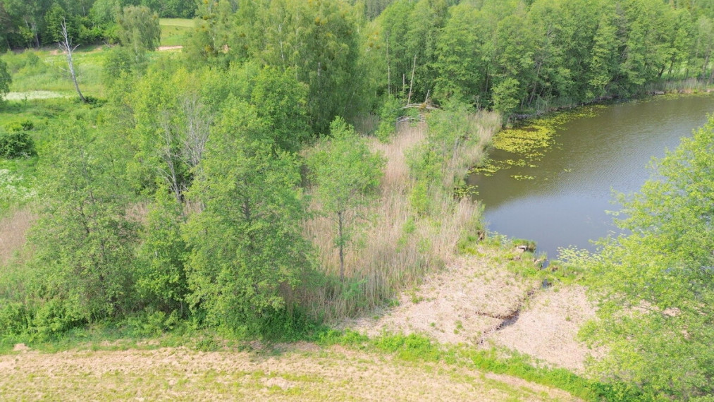 Parduodamas sklypas Papiškių k., Varėnos r. sav., 482 a ploto 3