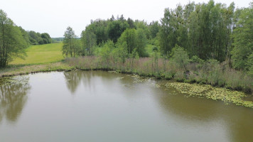 Parduodamas  sklypas Papiškių k., Varėnos r. sav., 482 a ploto 4