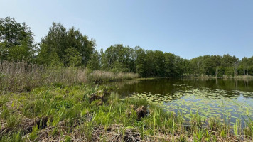 Parduodamas  sklypas Papiškių k., Varėnos r. sav., 482 a ploto 7