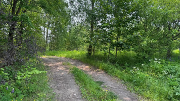 Parduodamas  sklypas Papiškių k., Varėnos r. sav., 482 a ploto 8